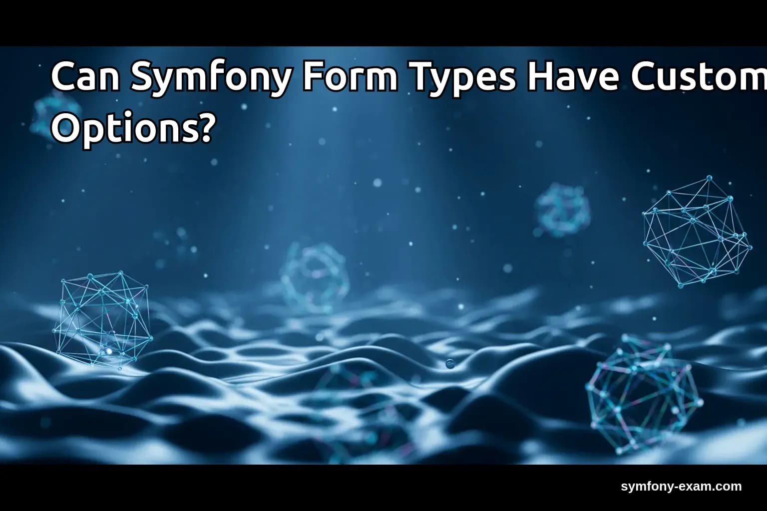 Can Symfony Form Types Have Custom Options?