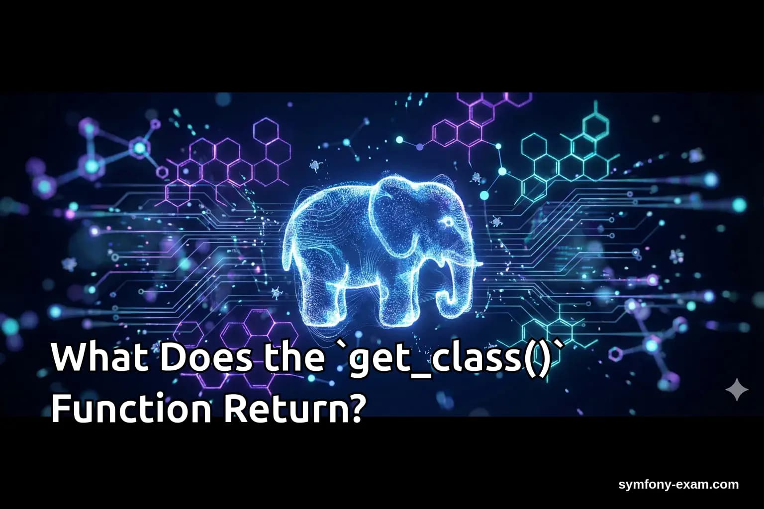 What Does the `get_class()` Function Return?