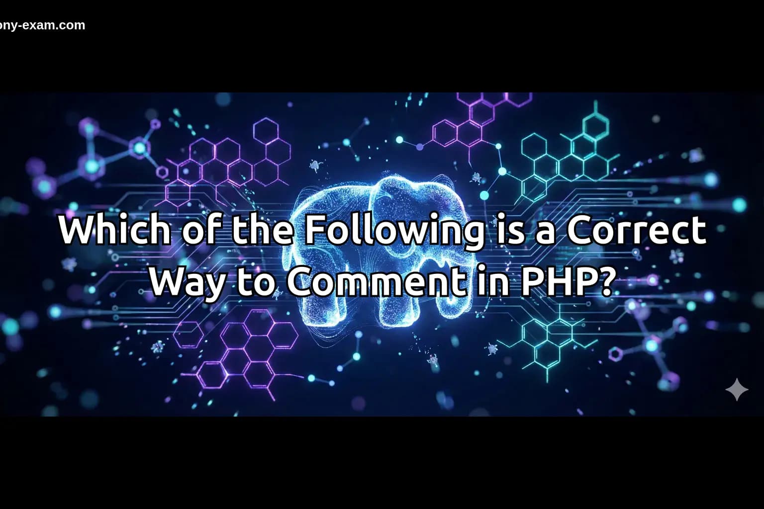 Which of the Following is a Correct Way to Comment in PHP?