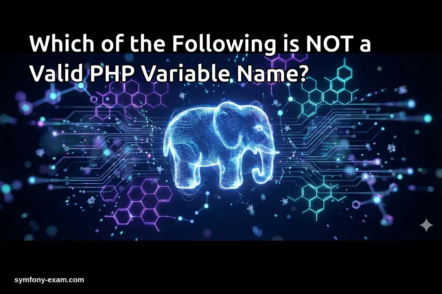 Which of the Following is NOT a Valid PHP Variable Name?
