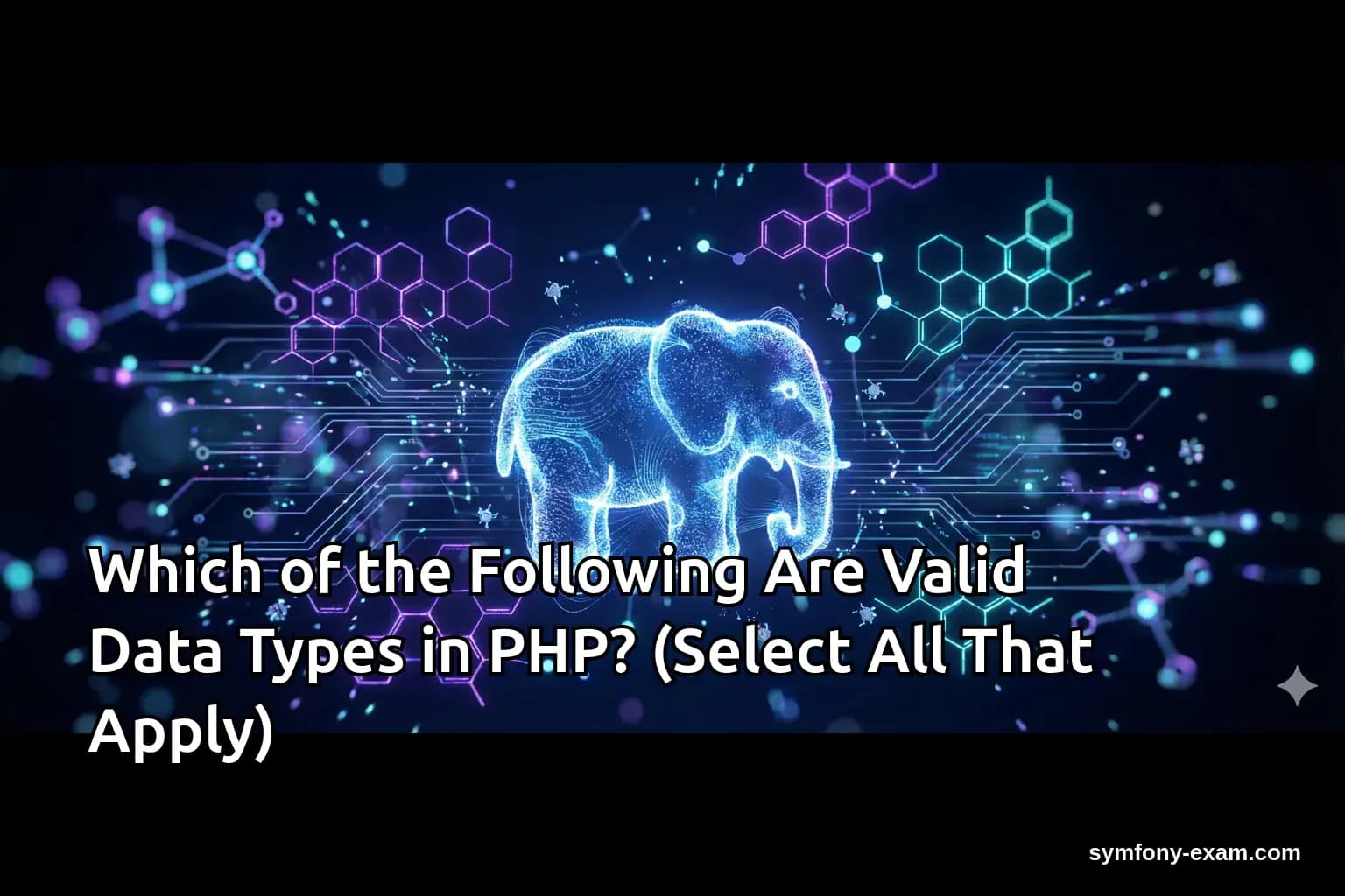 Which of the Following Are Valid Data Types in PHP? (Select All That Apply)