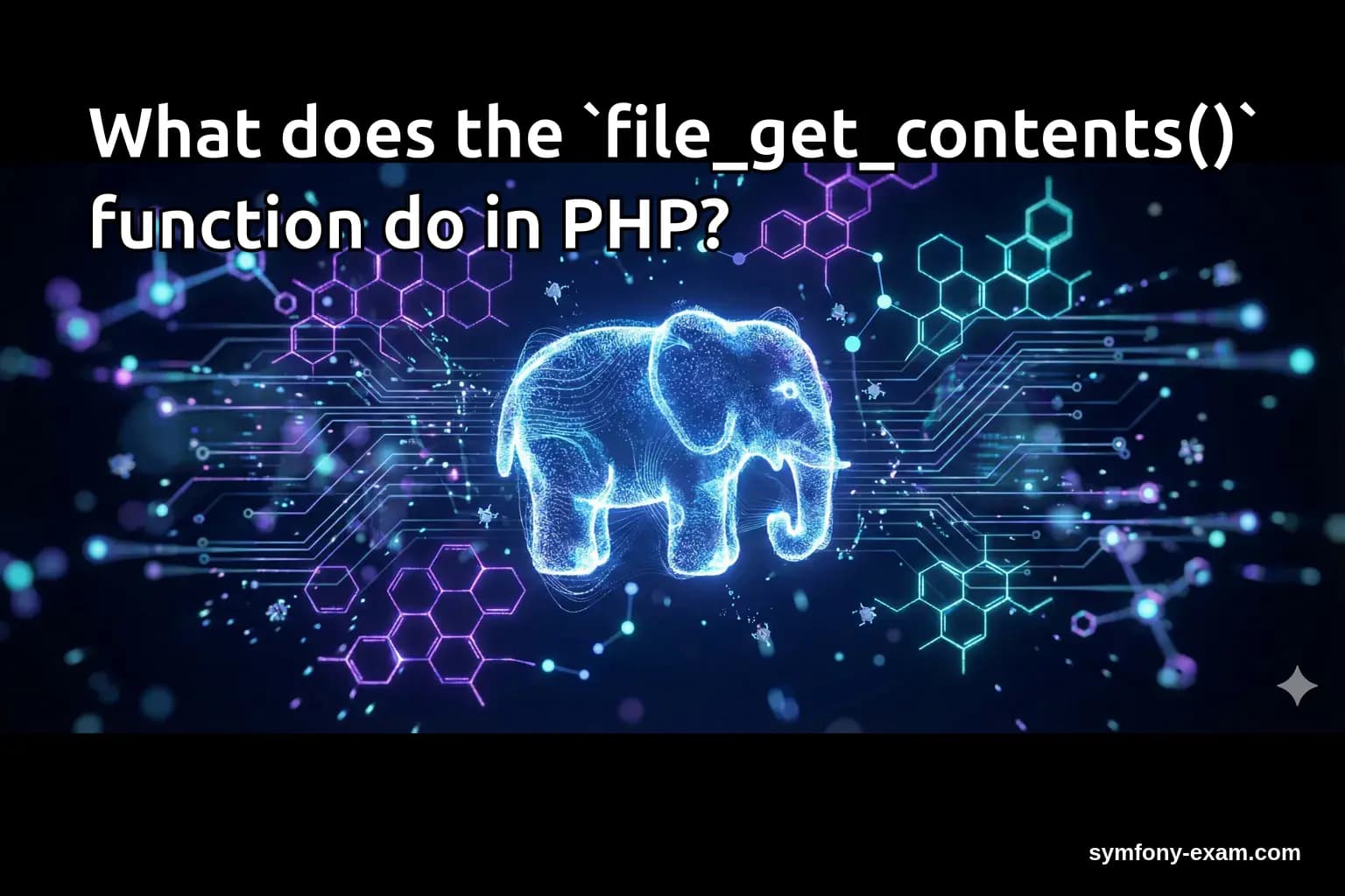 What does the `file_get_contents()` function do in PHP?