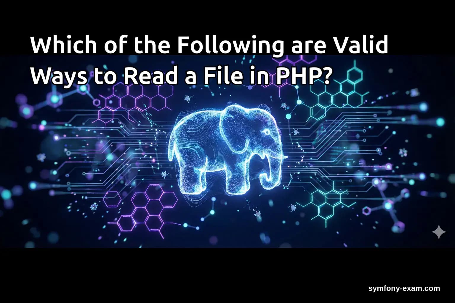 Which of the Following are Valid Ways to Read a File in PHP?
