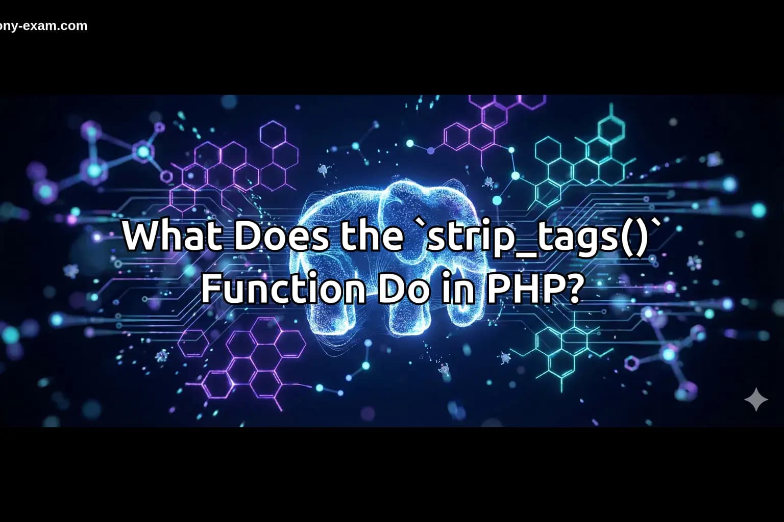 What Does the `strip_tags()` Function Do in PHP?