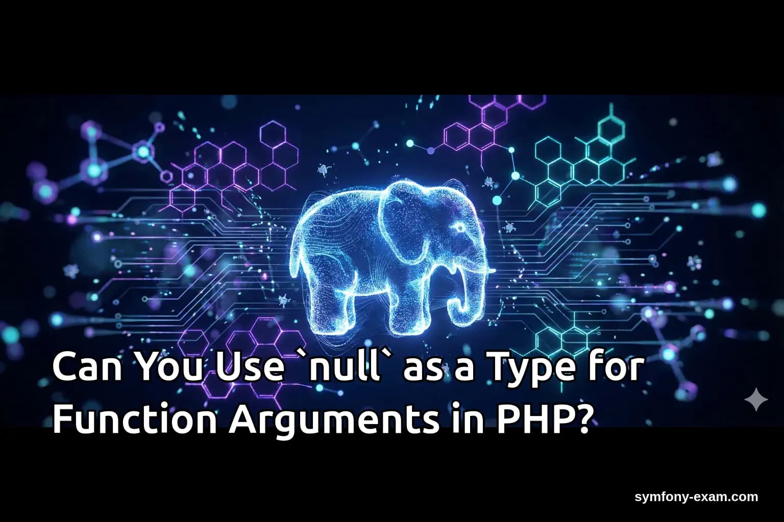 Can You Use `null` as a Type for Function Arguments in PHP?