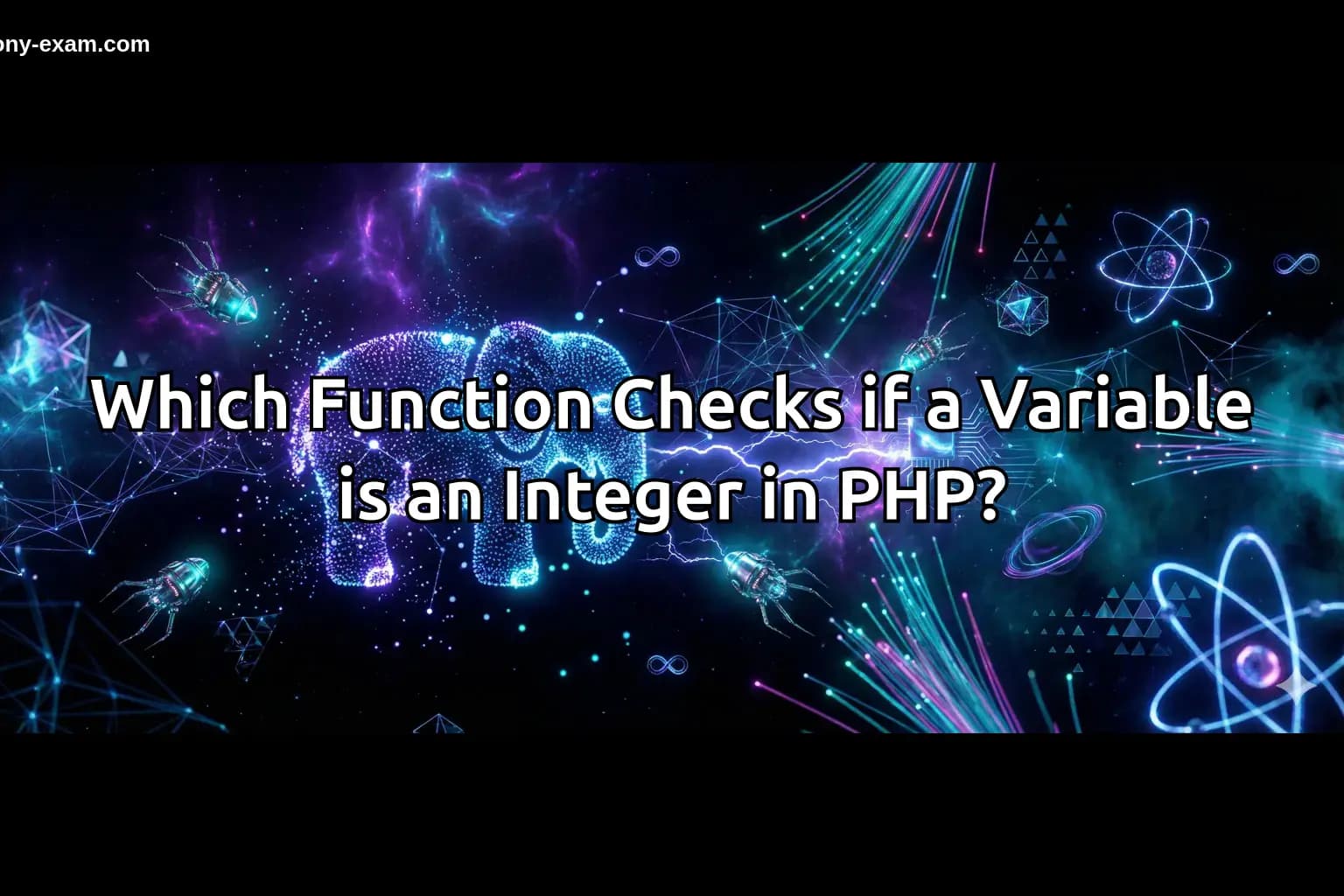 Which Function Checks if a Variable is an Integer in PHP?