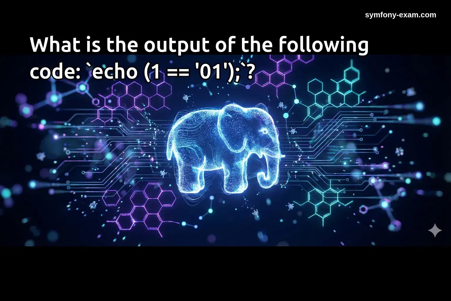 What is the output of the following code: `echo (1 == '01');`?