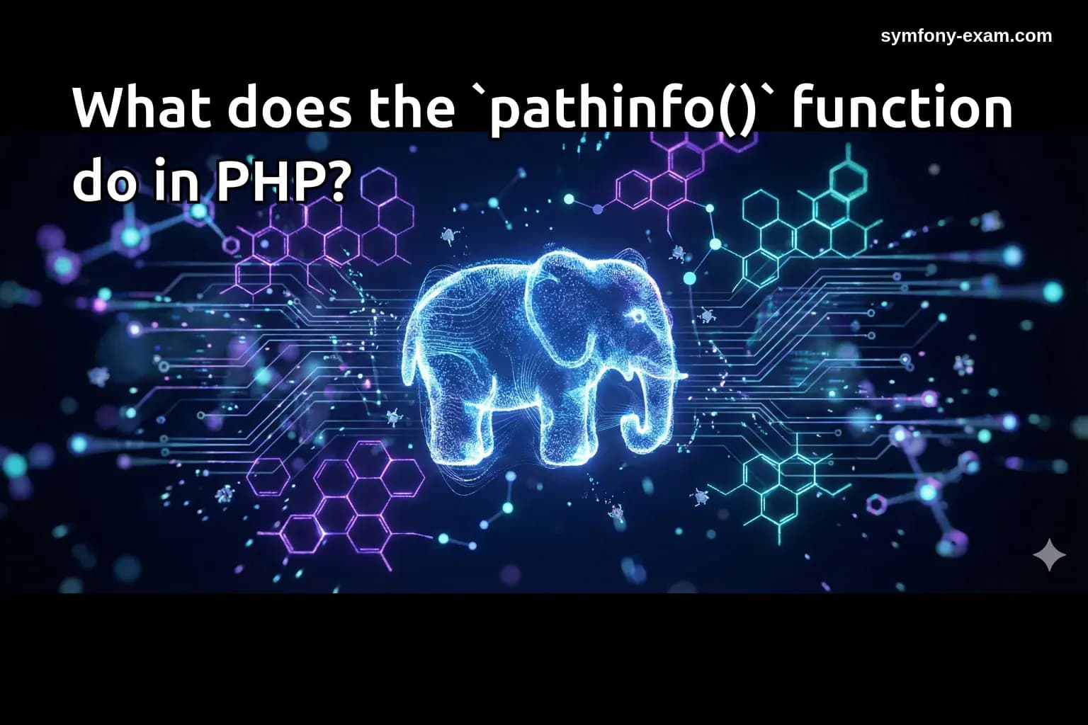 What does the `pathinfo()` function do in PHP?