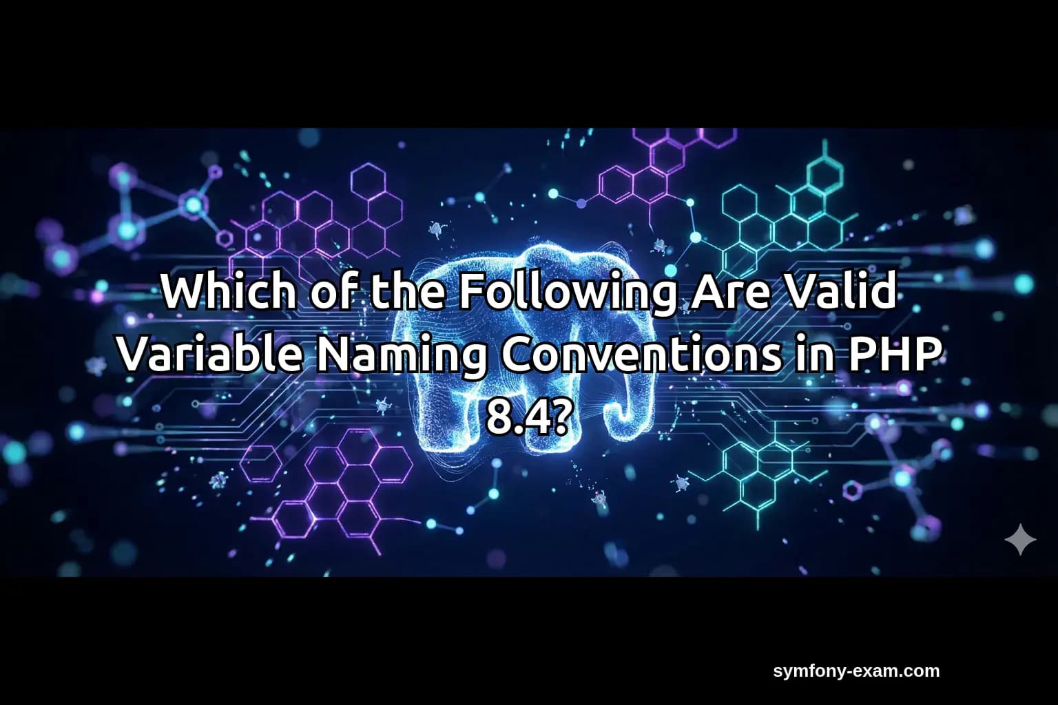 Which of the Following Are Valid Variable Naming Conventions in PHP 8.4?