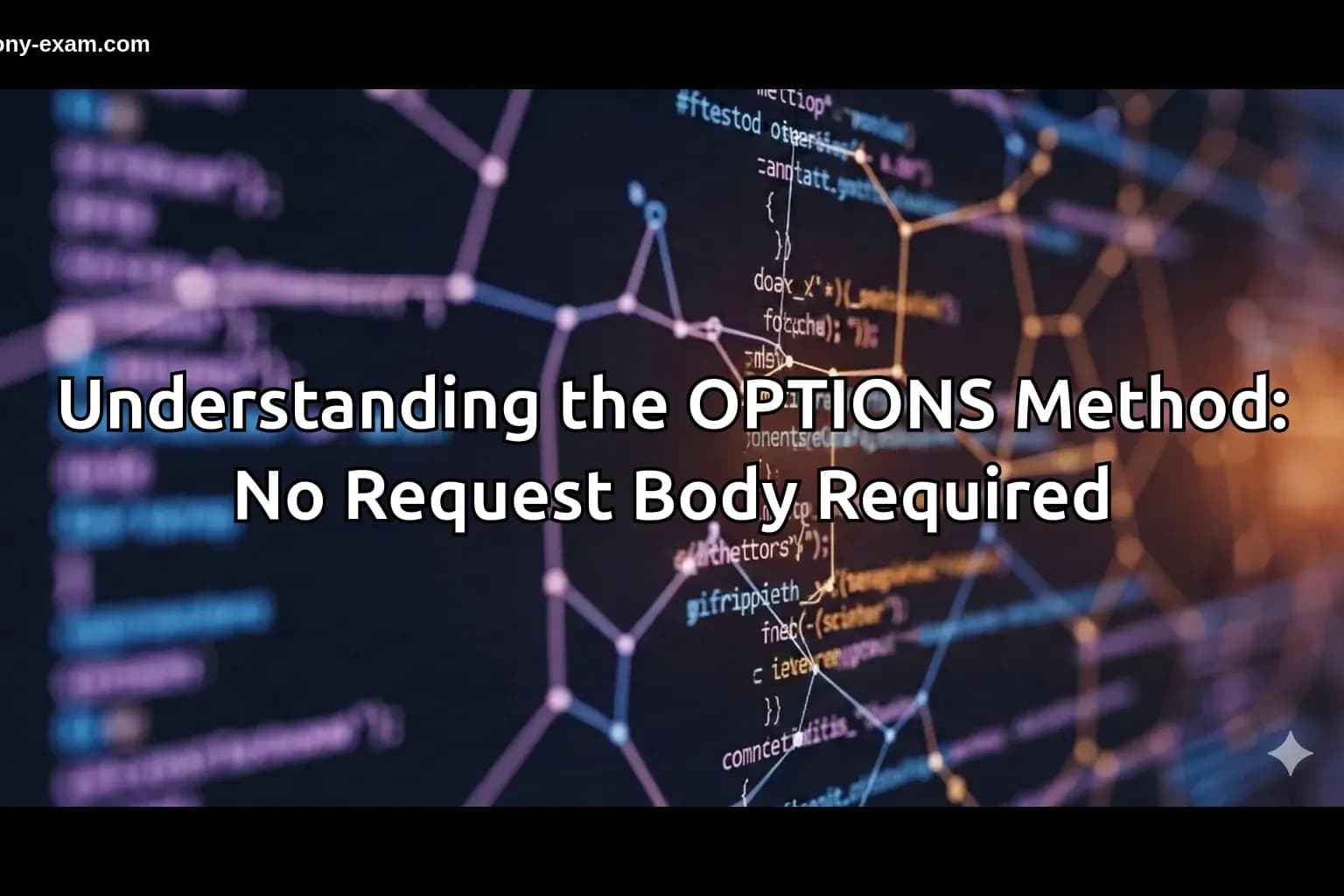 the OPTIONS Method: No Request Body Required