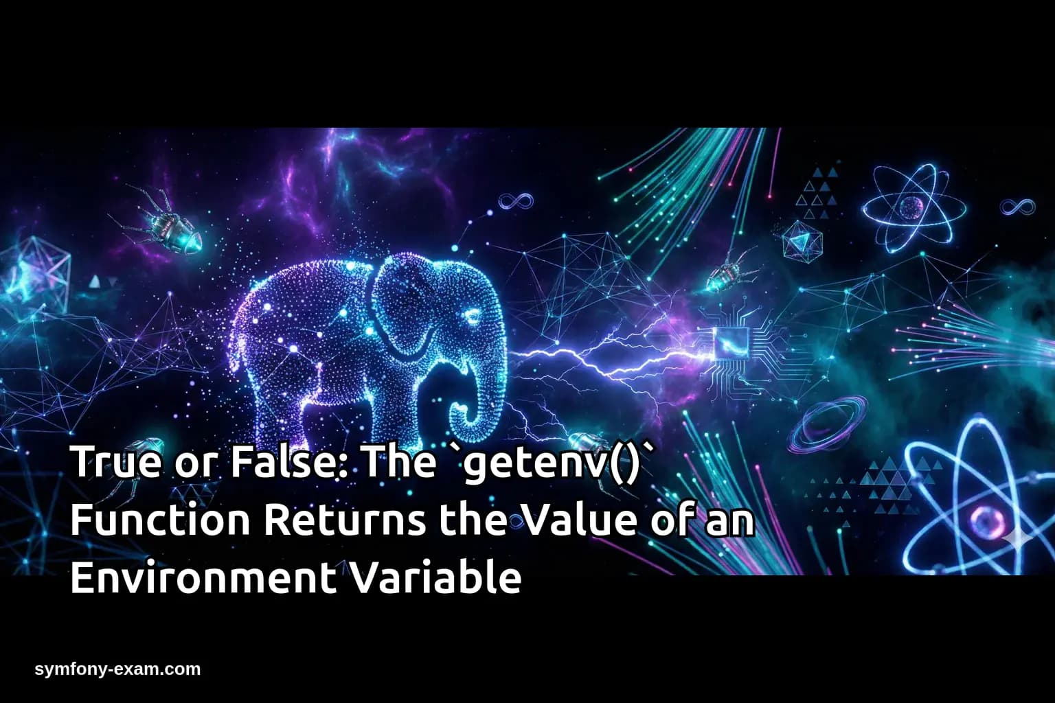 True or False: The `getenv()` Function Returns the Value of an Environment Variable