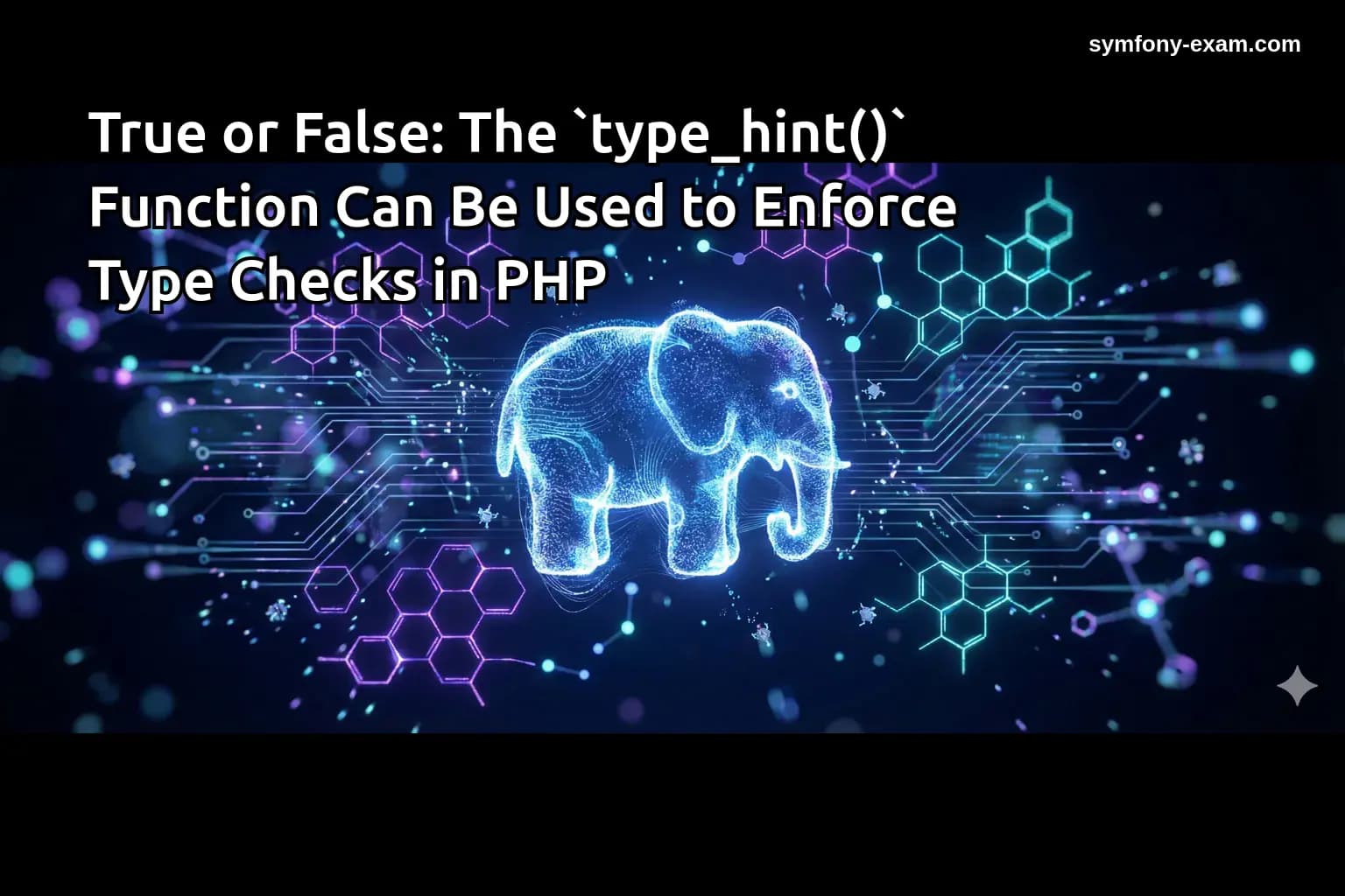 True or False: The `type_hint()` Function Can Be Used to Enforce Type Checks in PHP