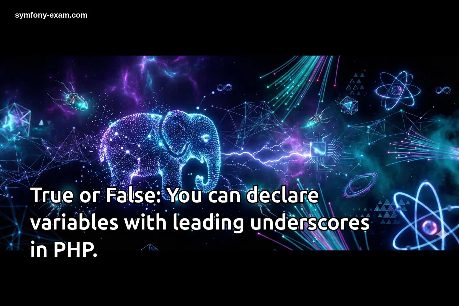 True or False: You can declare variables with leading underscores in PHP.