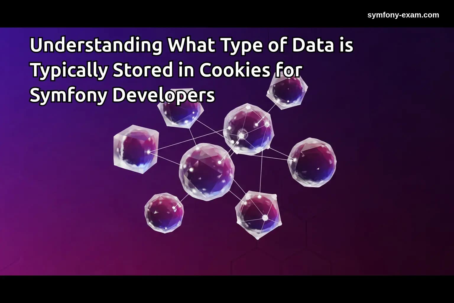 Understanding Cookie Data for Symfony Certification