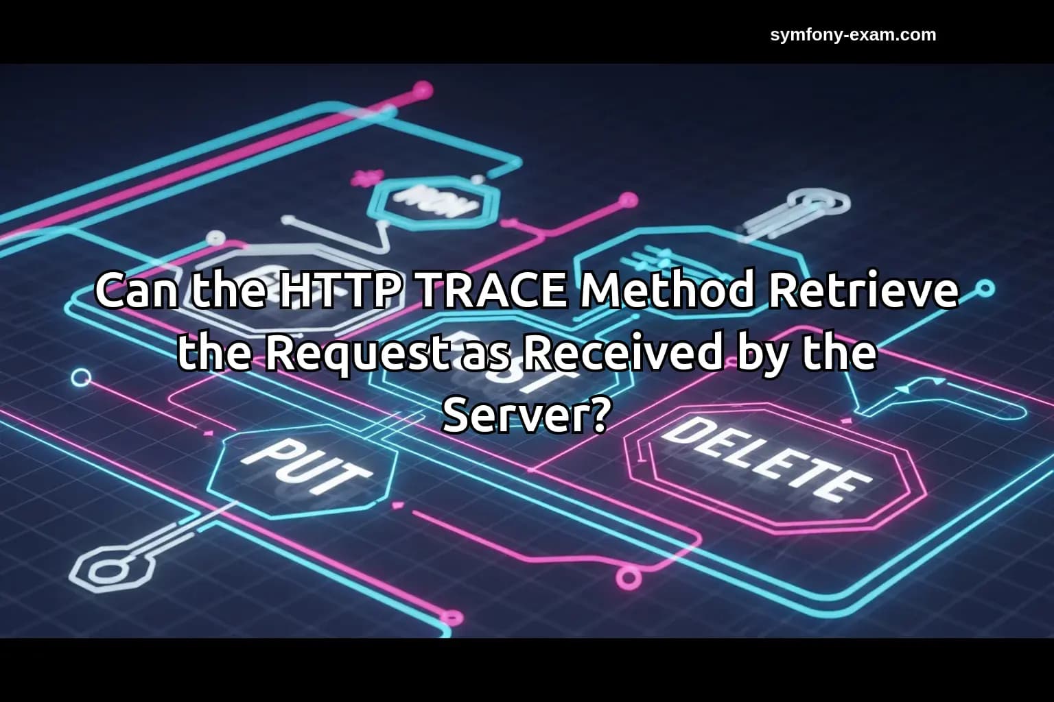 Can the HTTP TRACE Method Retrieve the Request as Received