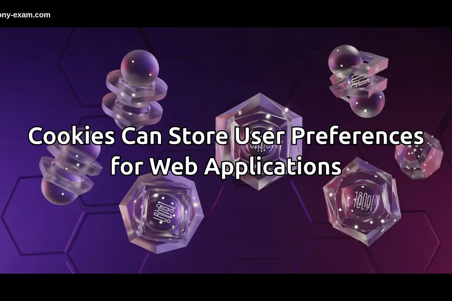 Cookies Can Store User Preferences for Web Applications