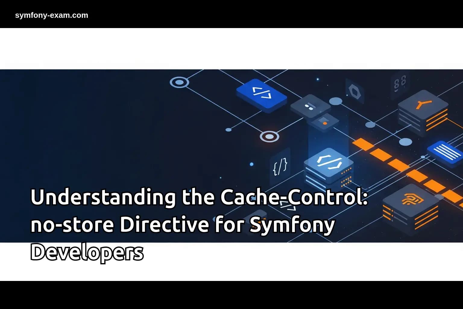 the Cache-Control: no-store Directive