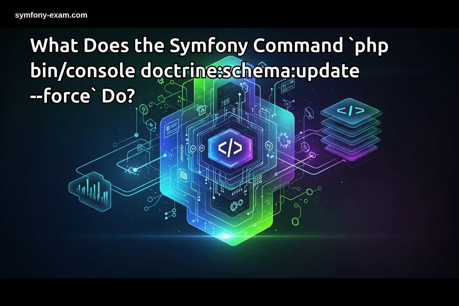What Does the Symfony Command `php bin/console doctrine:schema:update --force` Do?