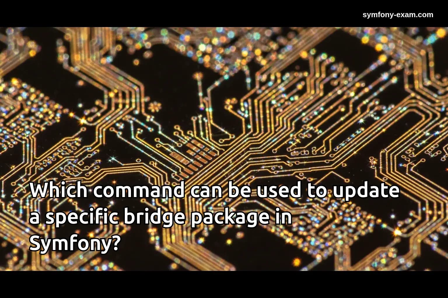 Which command can be used to update a specific bridge package in Symfony?