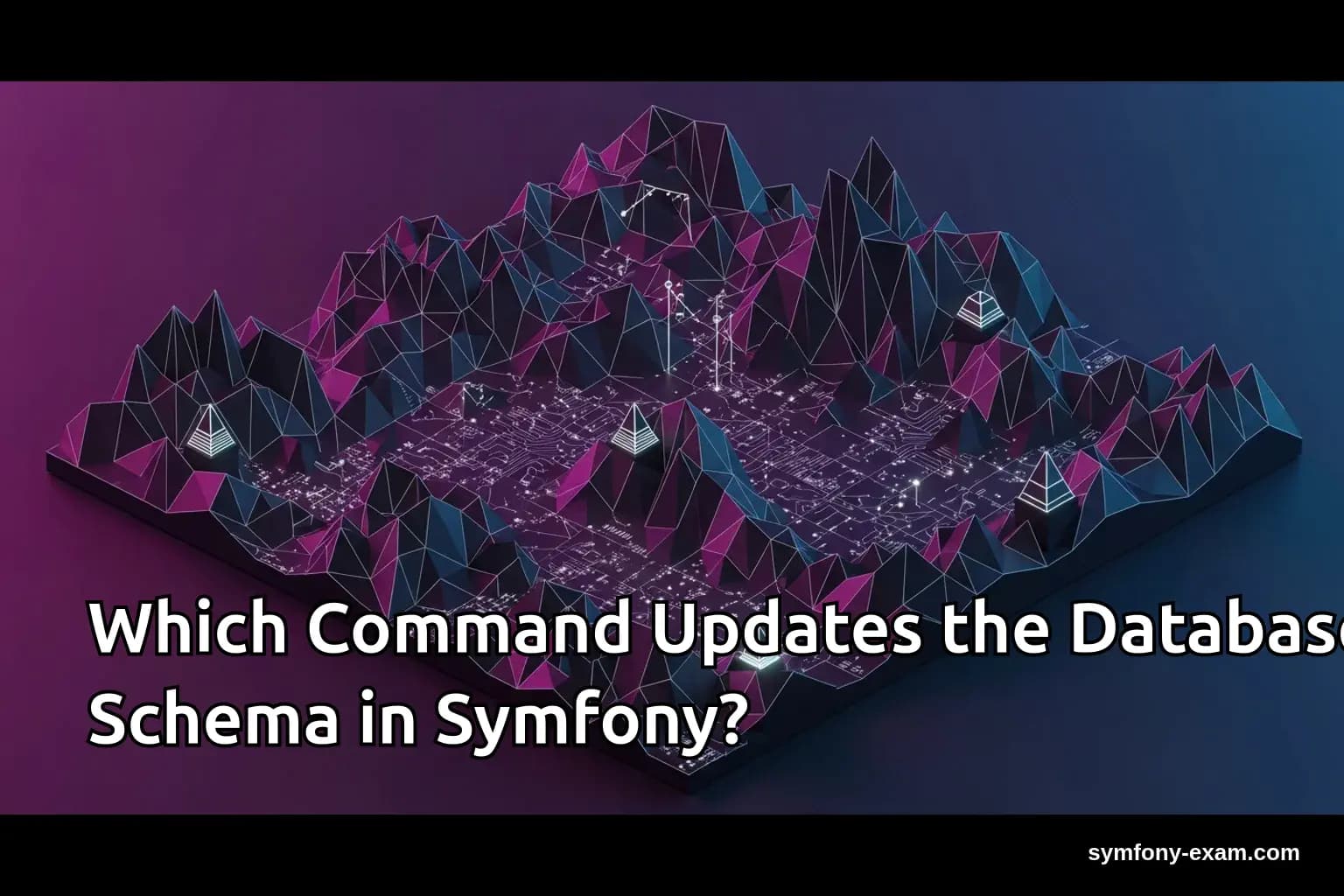 Which Command Updates the Database Schema in Symfony?