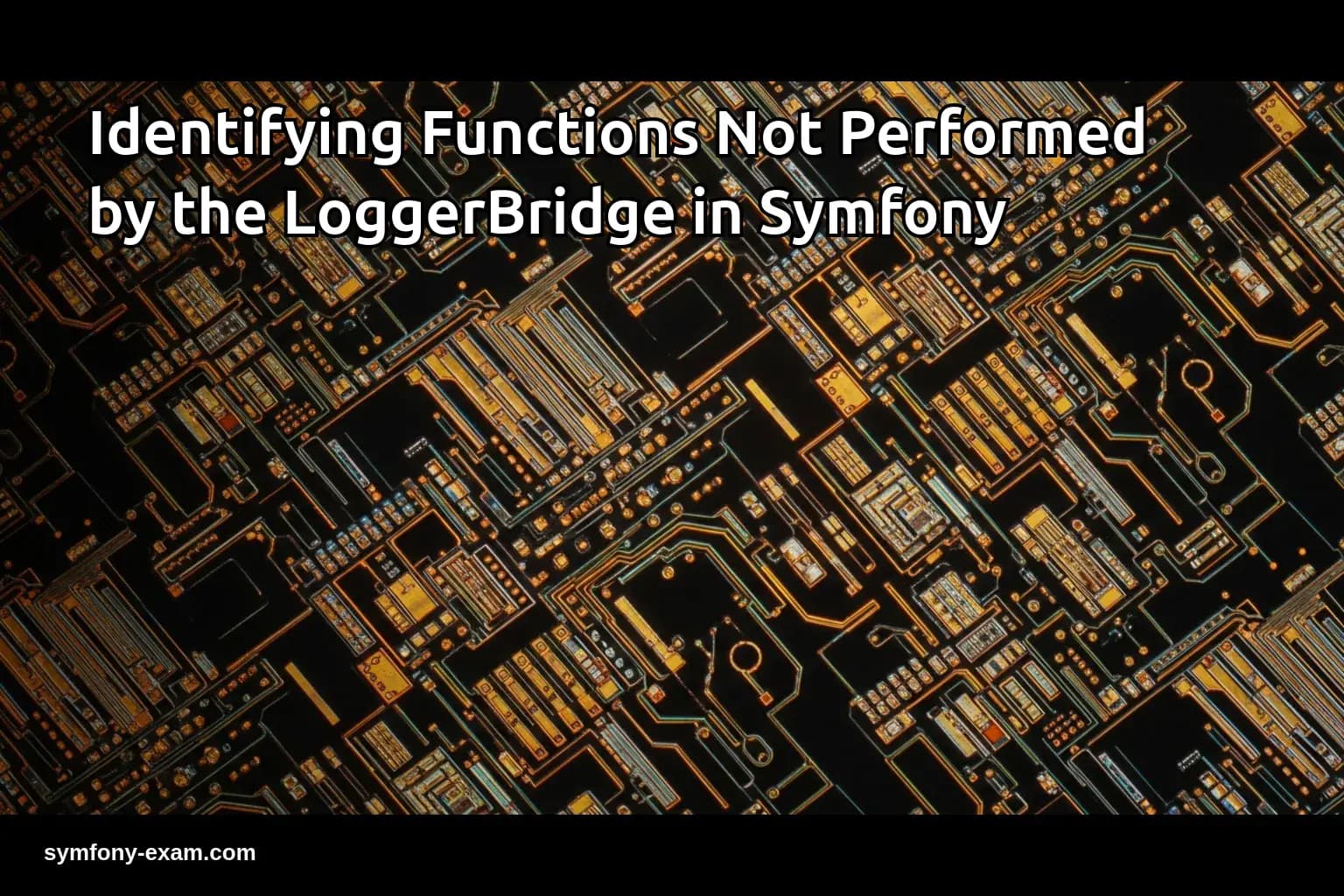 Identifying Functions Not Performed by the LoggerBridge in Symfony