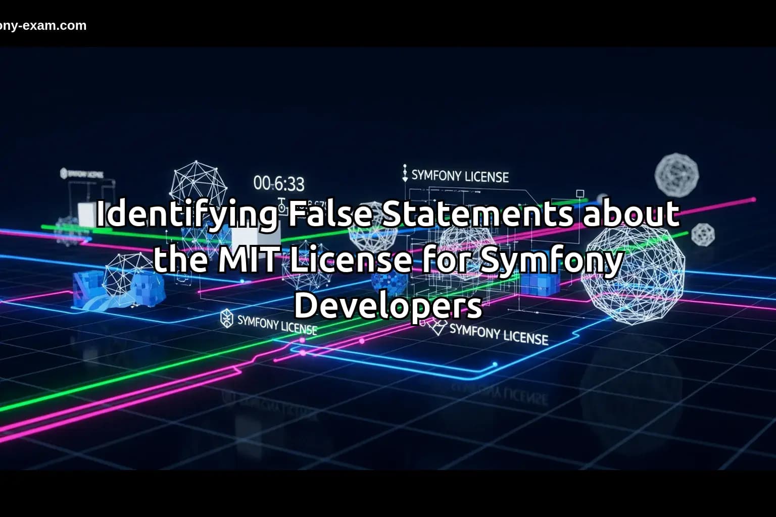 Identifying False Statements about the MIT License